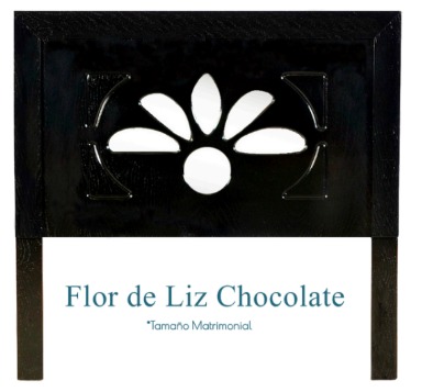 Foto de cabecera flor de liz chocolate/ nogal