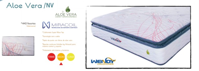 Foto de aloe vera /nv