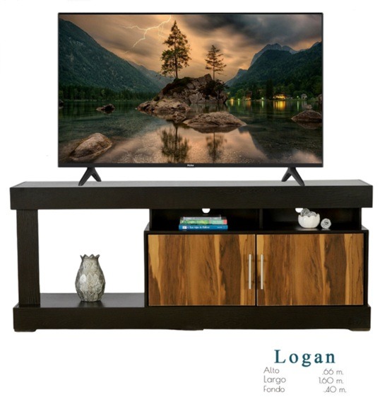 Foto de centro de tv logan