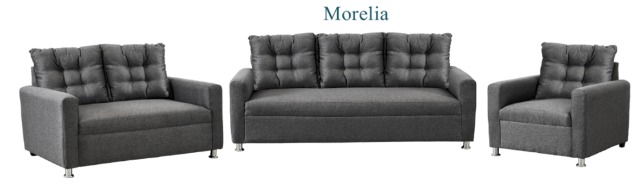 Foto de sala morelia
